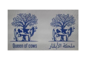 QUEEN OF COWS